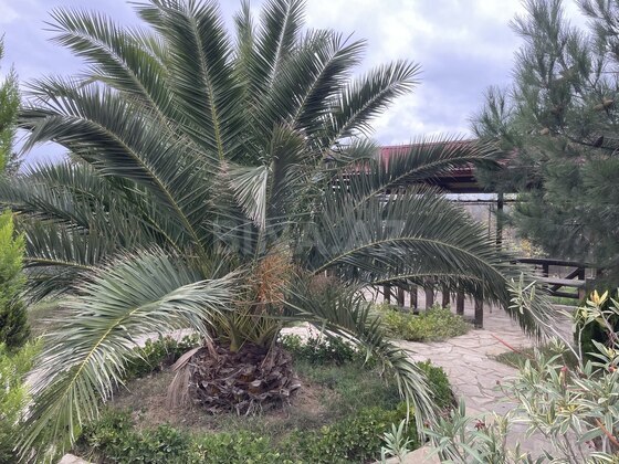 4 otaqlı Həyət evi/Bağ evi, Binəqədi r., Bakı