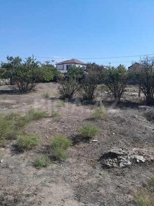 Torpaq Qala q., Bakı