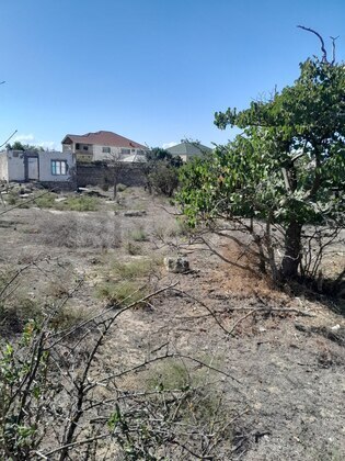 Torpaq Qala q., Bakı