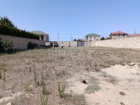 Torpaq Novxanı q., Bakı