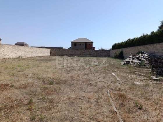 Torpaq Novxanı q., Bakı