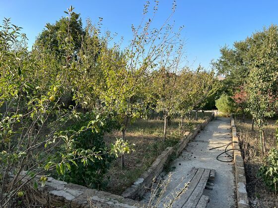Torpaq Xızı