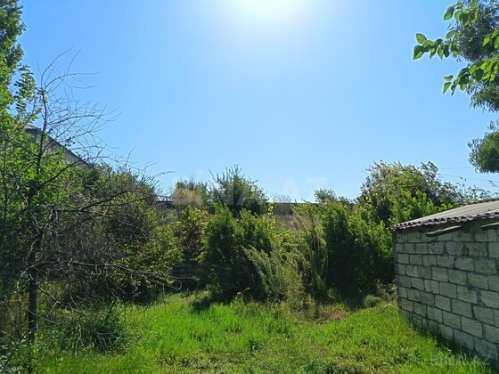 Torpaq Ramana q., Bakı