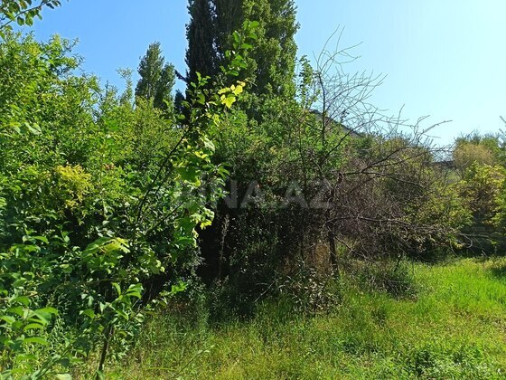 Torpaq Ramana q., Bakı