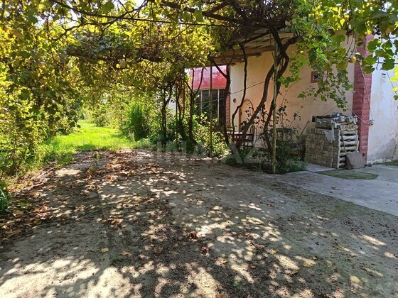 Torpaq Ramana q., Bakı