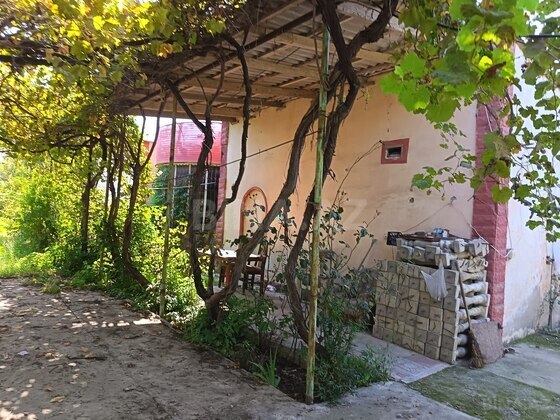 Torpaq Ramana q., Bakı