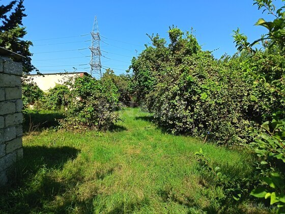 Torpaq Ramana q., Bakı