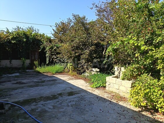 Torpaq Ramana q., Bakı