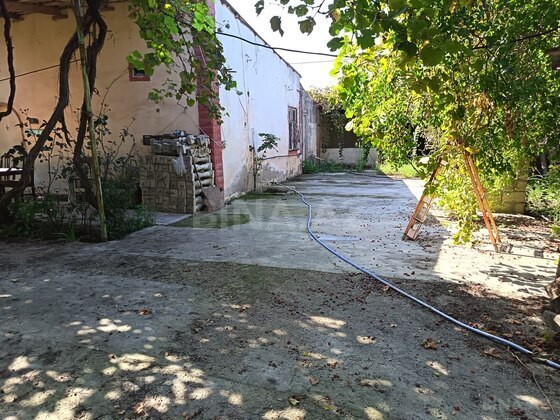 Torpaq Ramana q., Bakı