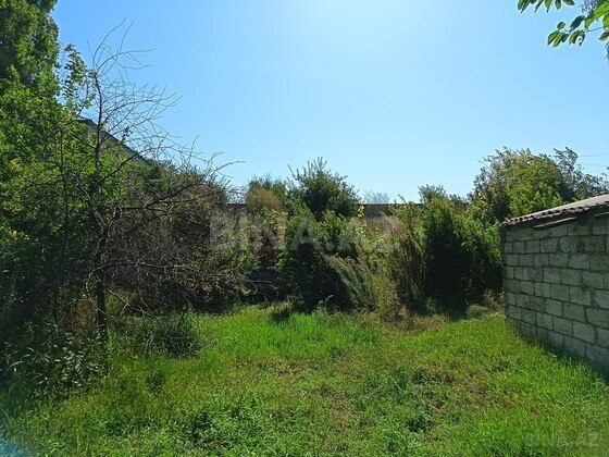 Torpaq Ramana q., Bakı