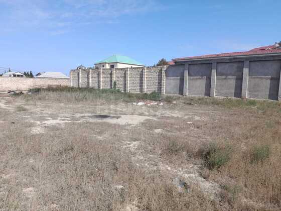Torpaq Novxanı q., Bakı