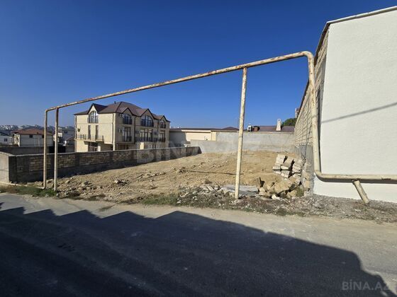 Torpaq Badamdar q., Bakı