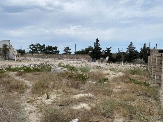Torpaq Şüvəlan q., Bakı