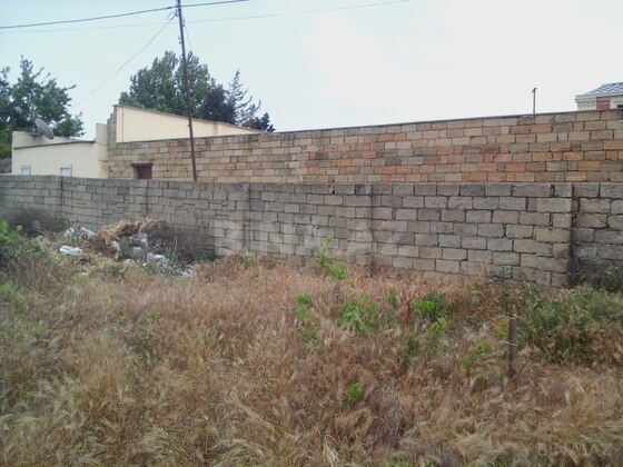 Torpaq Novxanı q., Bakı