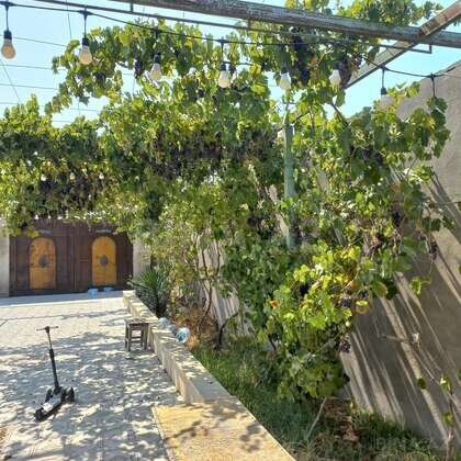 3 otaqlı Həyət evi/Bağ evi, Albalılıq q., Bakı