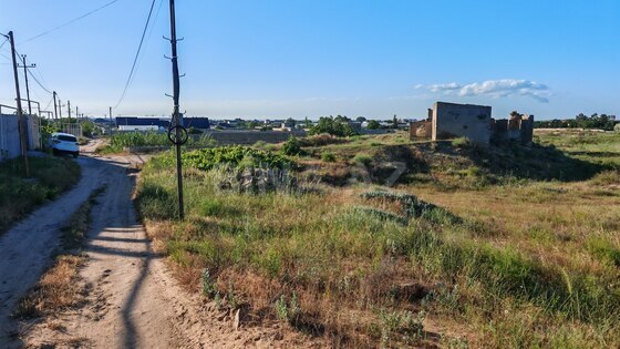 Torpaq Nardaran q., Bakı