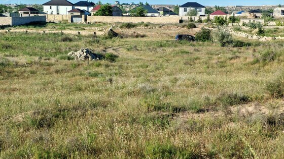 Torpaq Nardaran q., Bakı