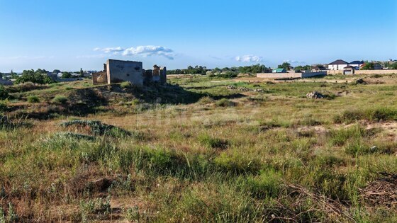 Torpaq Nardaran q., Bakı