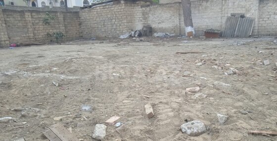 Torpaq Badamdar q., Bakı