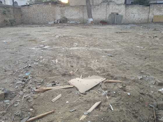 Torpaq Badamdar q., Bakı
