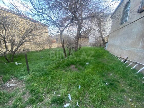 Torpaq Badamdar q., Bakı