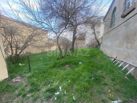 Torpaq Badamdar q., Bakı