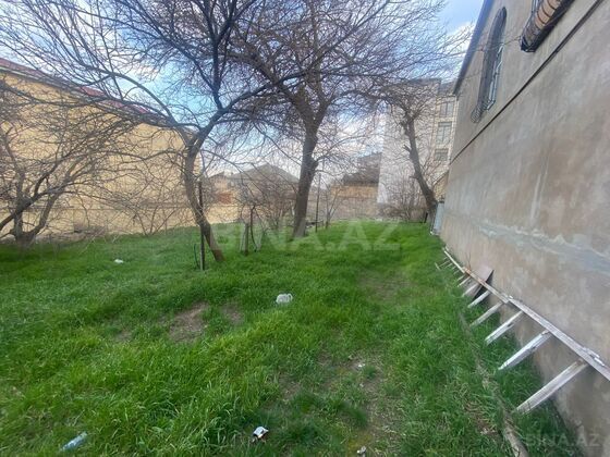 Torpaq Badamdar q., Bakı