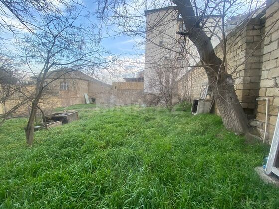 Torpaq Badamdar q., Bakı