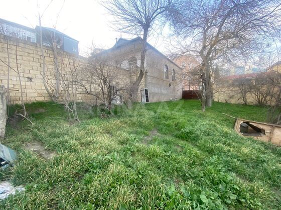 Torpaq Badamdar q., Bakı