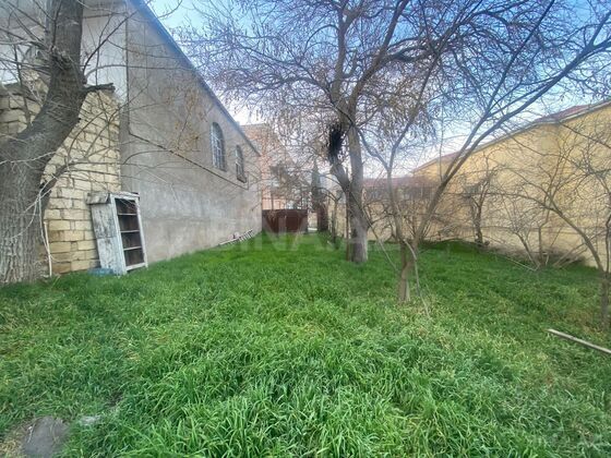 Torpaq Badamdar q., Bakı