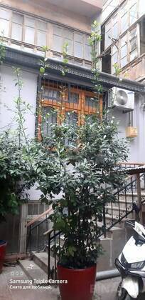 Obyekt Sahil m., Bakı