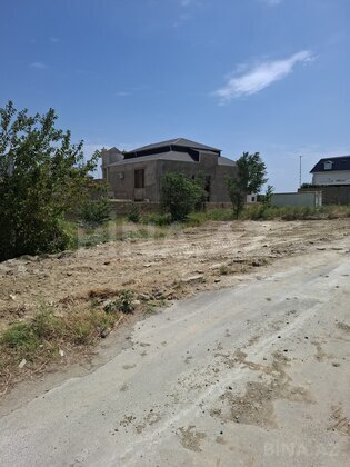 Torpaq Badamdar q., Bakı
