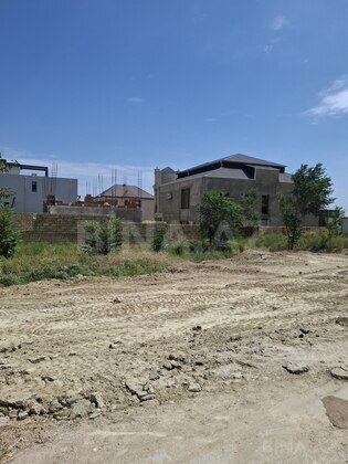 Torpaq Badamdar q., Bakı