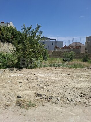 Torpaq Badamdar q., Bakı