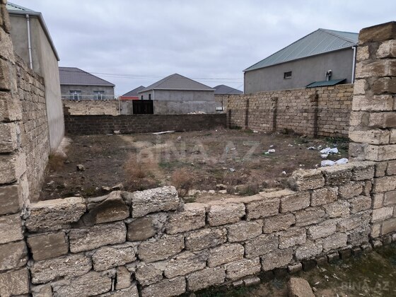 Torpaq Binə q., Bakı