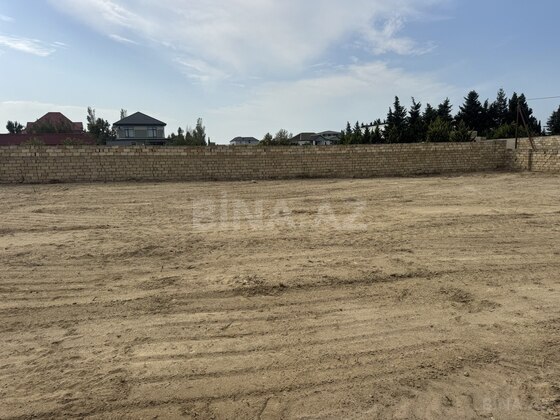 Torpaq Görədil q., Bakı