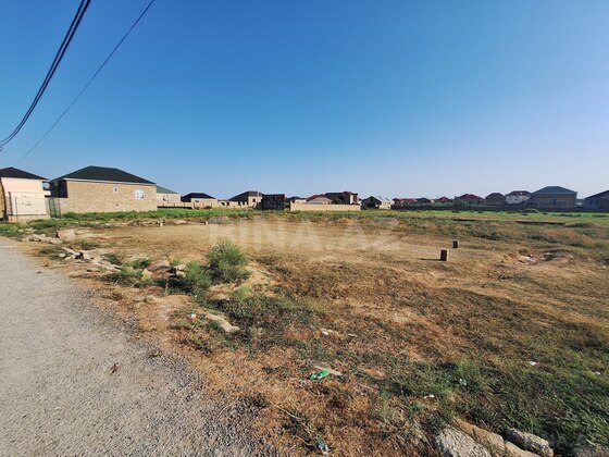 Torpaq Ramana q., Bakı
