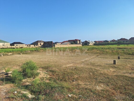 Torpaq Ramana q., Bakı