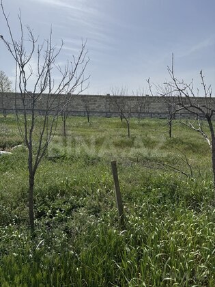 Torpaq Masazır q., Bakı