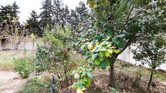 6 otaqlı Həyət evi/Bağ evi, Mərdəkan q., Bakı