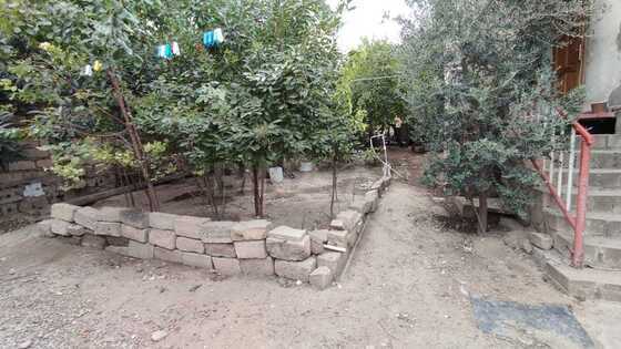 Torpaq Nəsimi m., Bakı