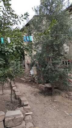 Torpaq Nəsimi m., Bakı