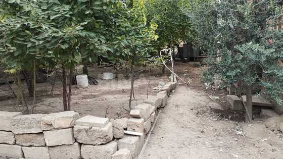 Torpaq Nəsimi m., Bakı