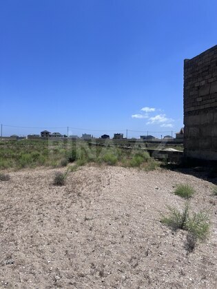 Torpaq Türkan q., Bakı