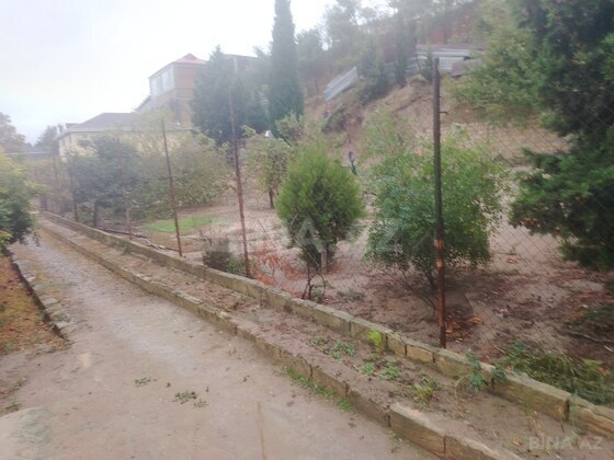 Torpaq Novxanı q., Bakı