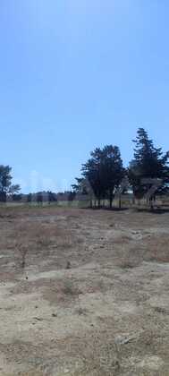 Torpaq Qaraçuxur q., Bakı