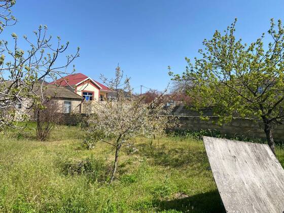 Torpaq Saray q., Bakı
