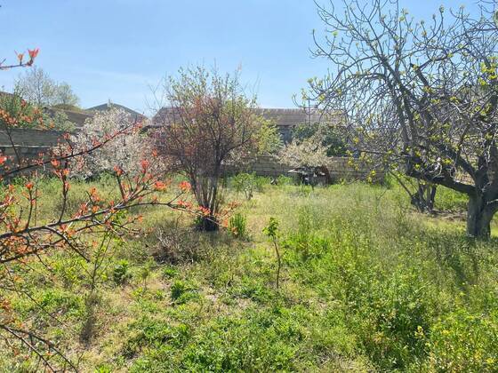 Torpaq Saray q., Bakı