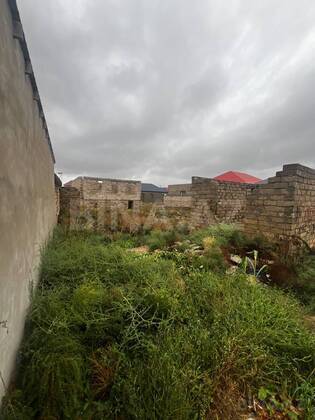 Torpaq Qala q., Bakı