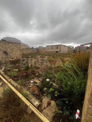 Torpaq Qala q., Bakı